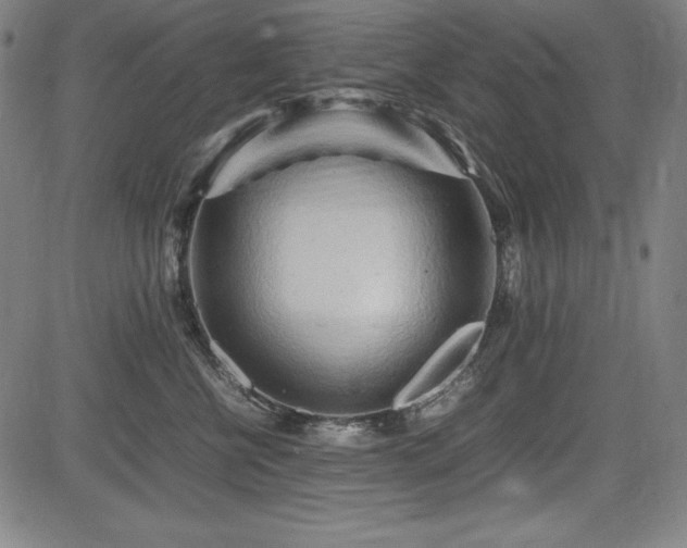 X0000083620570200702121143