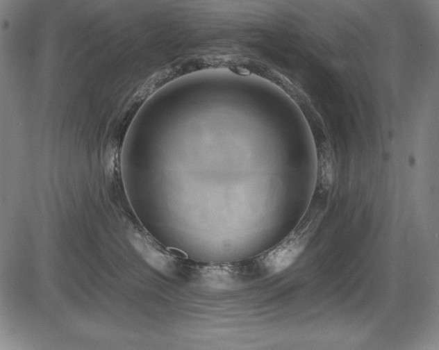 X0000083620574200702121143