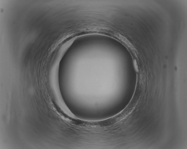X0000083620577200702121143