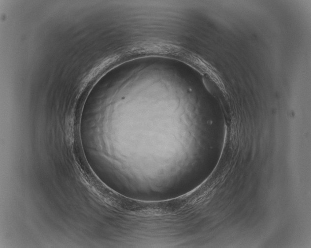 X0000083620578200702121143