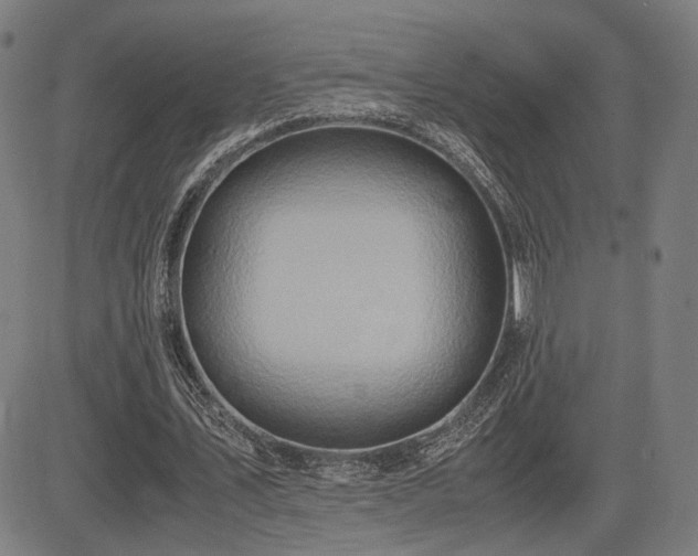 X0000083620579200702121143