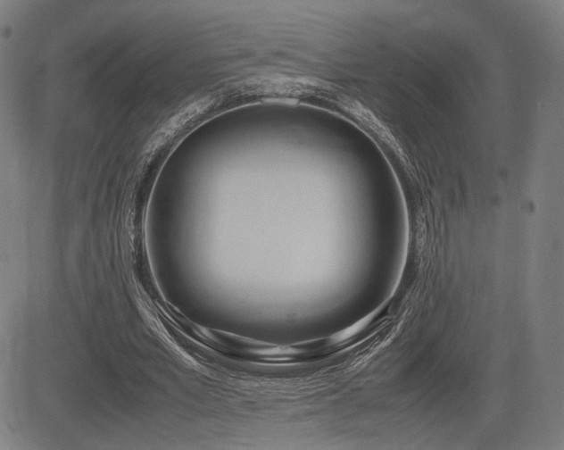 X0000083620581200702121143
