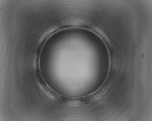 X0000083620586200702121142