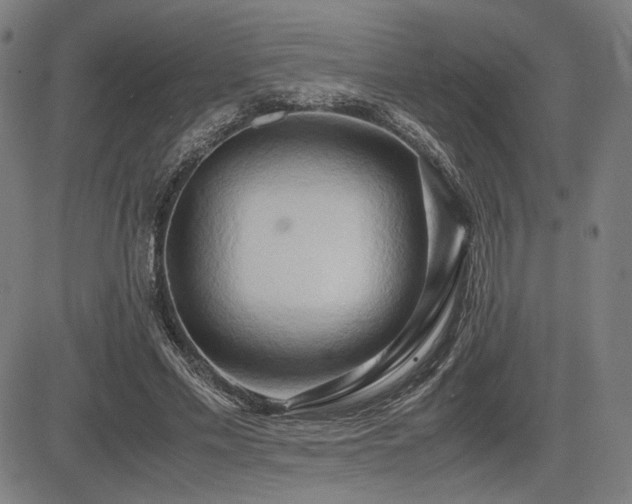 X0000083620589200702121142