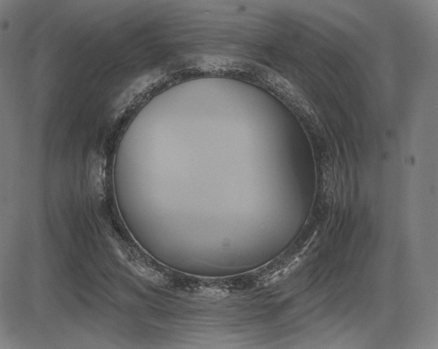 X0000083620592200702121142