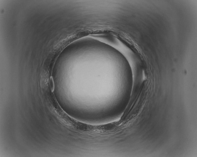 X0000083620593200702121142