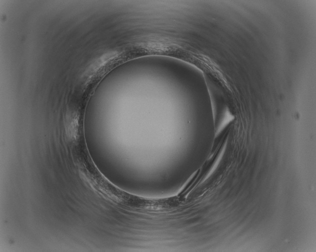 X0000083620596200702121142