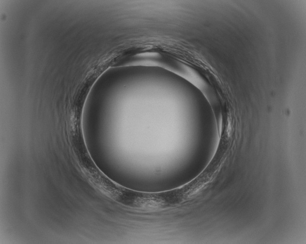 X0000083620597200702121142