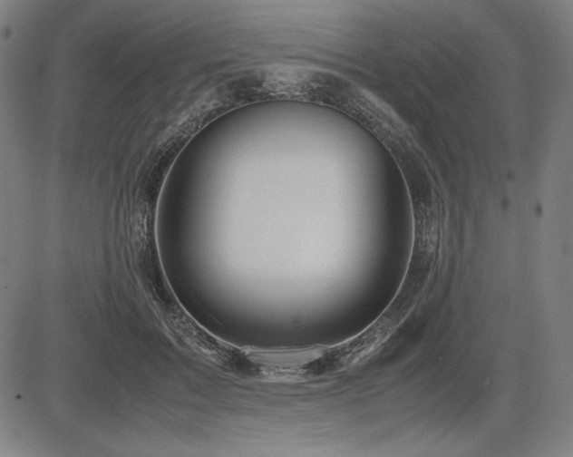 X0000083620603200702121142