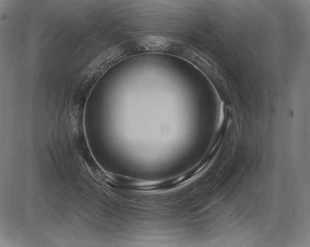 X0000083620604200702121142