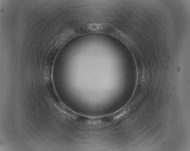 X0000083620606200702121142
