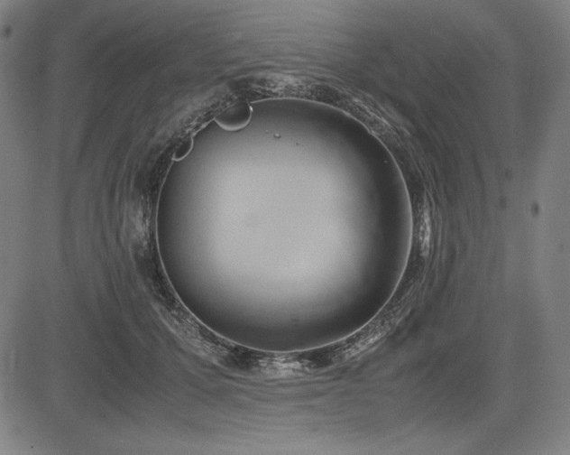 X0000083620607200702121142