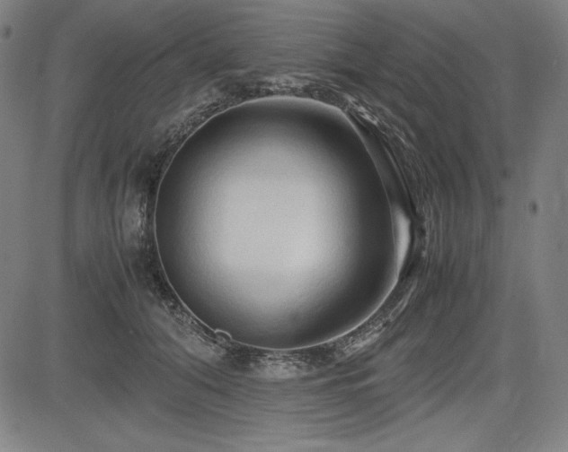 X0000083620608200702121142