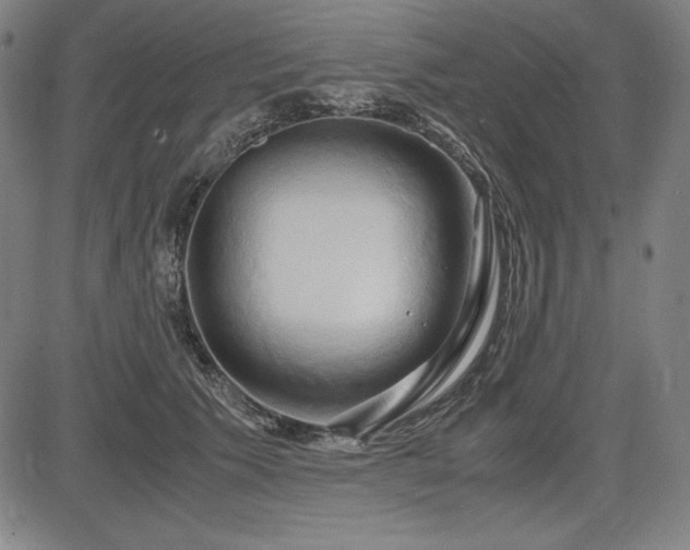 X0000083620609200702121142