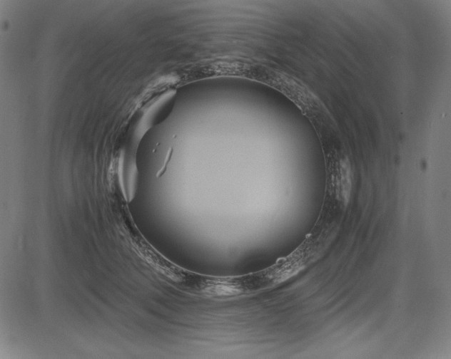 X0000083620610200702121142
