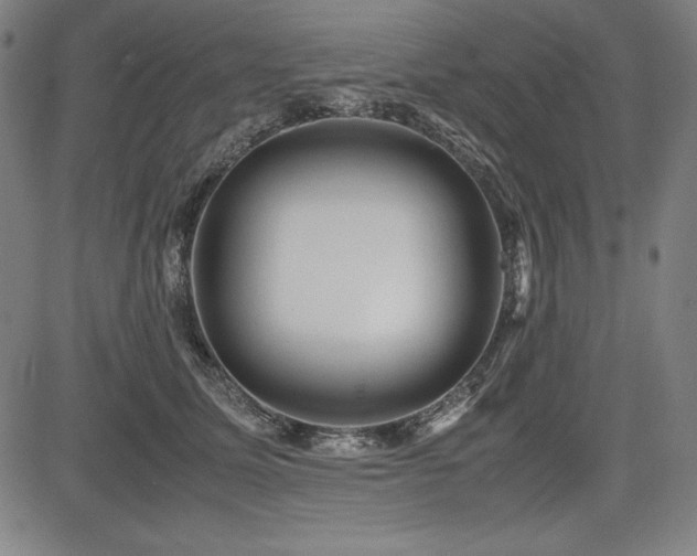 X0000083620611200702121142