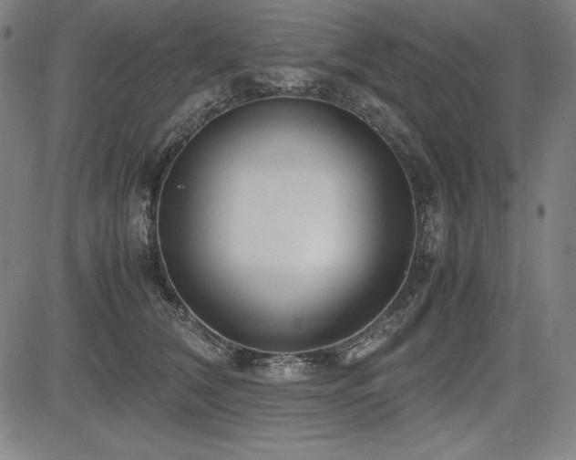 X0000083620612200702121142