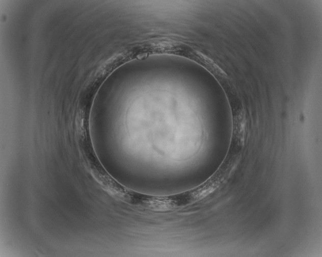 X0000083620615200702121142