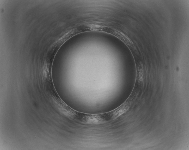 X0000083620618200702121142