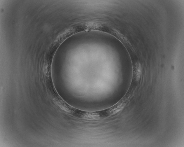 X0000083620619200702121142
