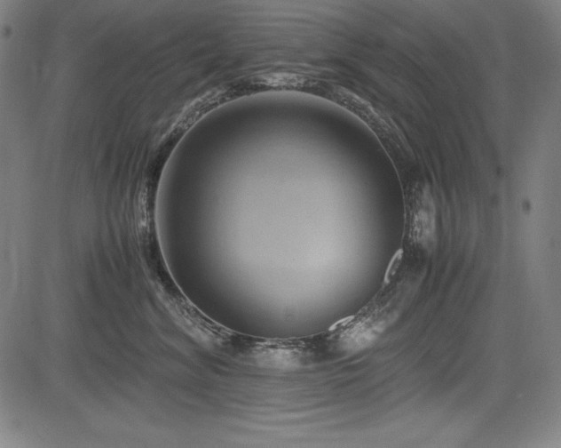 X0000083620620200702121142