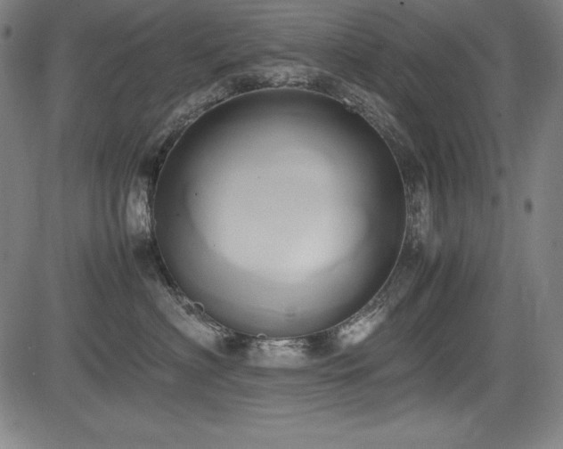 X0000083620622200702121142
