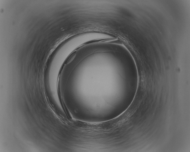 X0000083620626200702121141