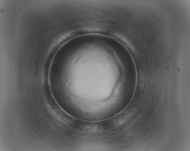 X0000083620631200702121141