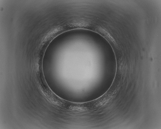 X0000083620635200702121141