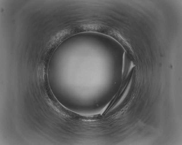 X0000083620637200702121141