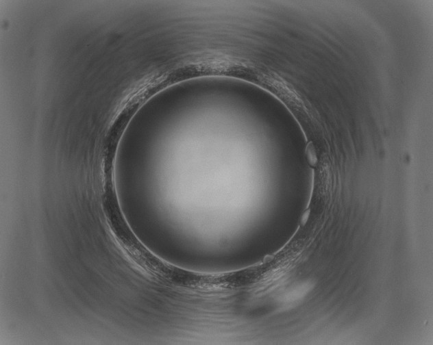 X0000083620638200702121141