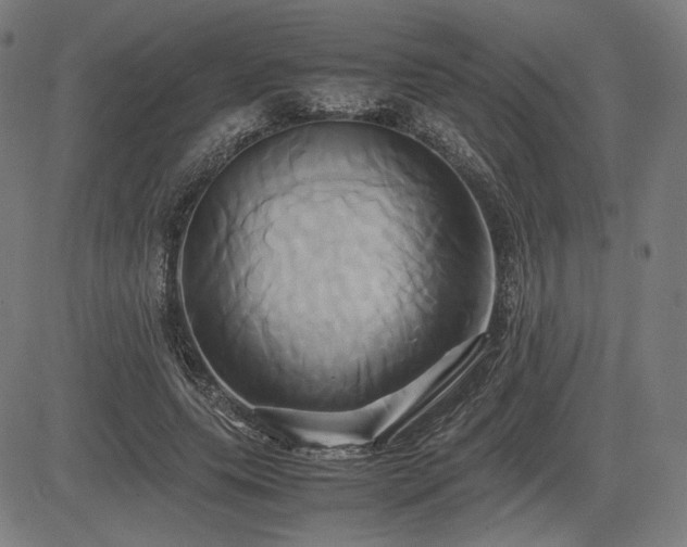 X0000083620639200702121141