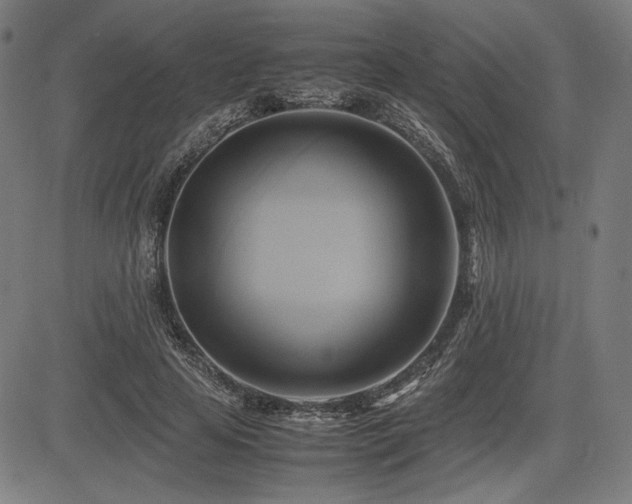 X0000083620641200702121141