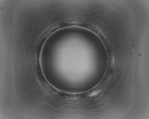 X0000083620643200702121141