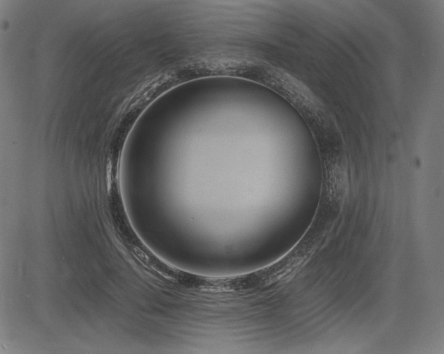 X0000083620644200702121141