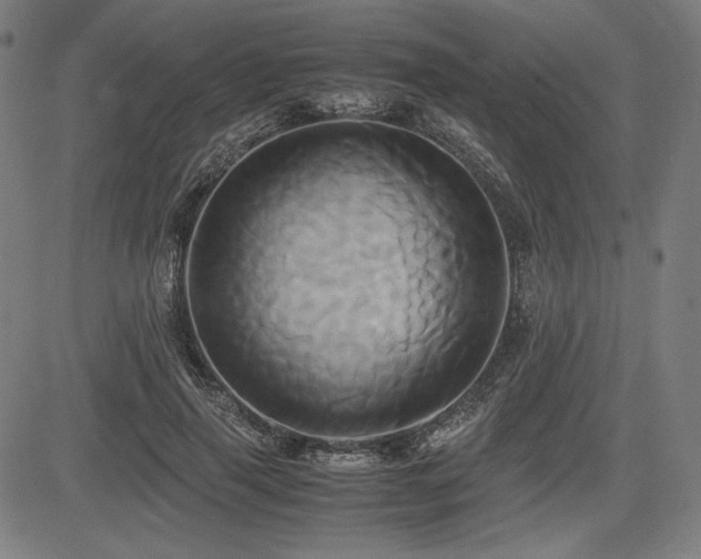 X0000083620645200702121141