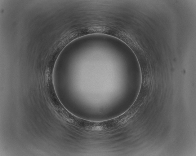 X0000083620647200702121141