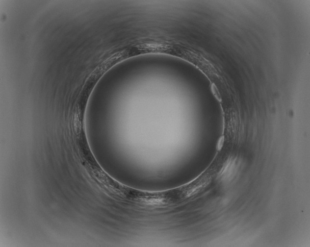 X0000083620651200702121141