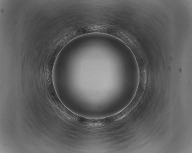 X0000083620653200702121141