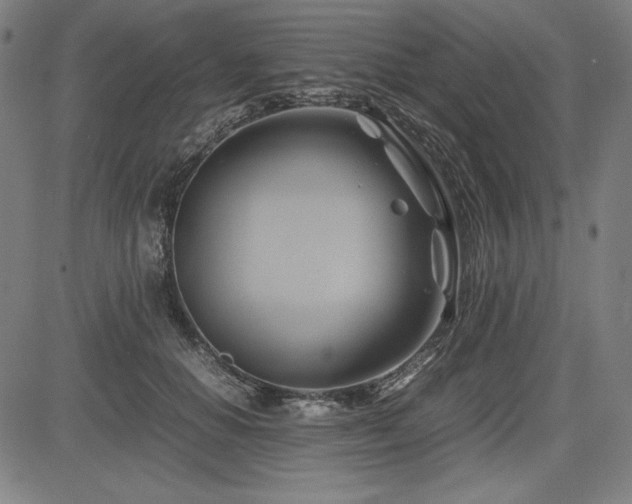 X0000083620654200702121141
