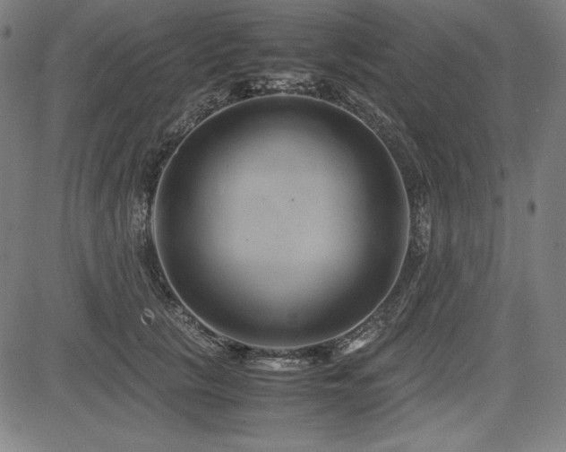 X0000083620657200702121142