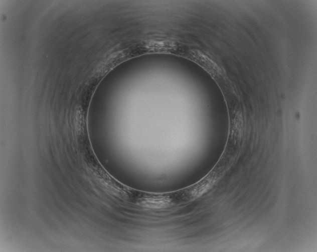 X0000083620659200702121142