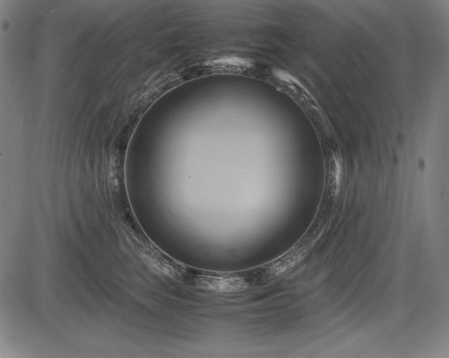 X0000083620663200702121142
