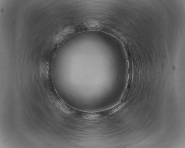 X0000083620664200702121142