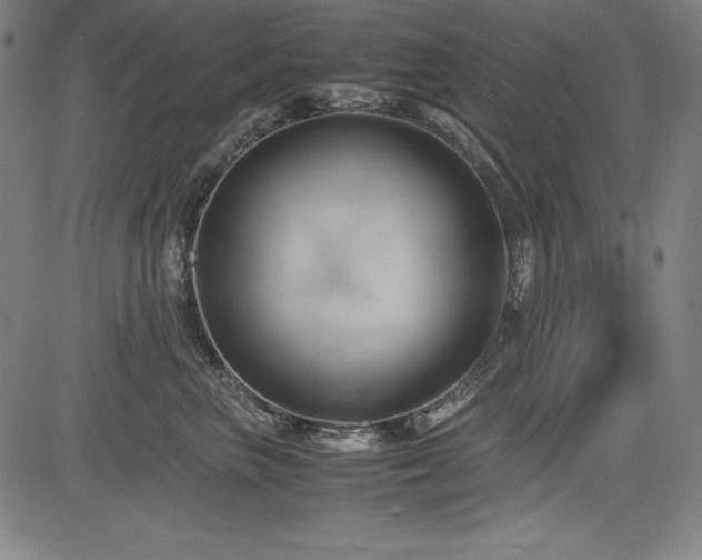 X0000083620667200702121142