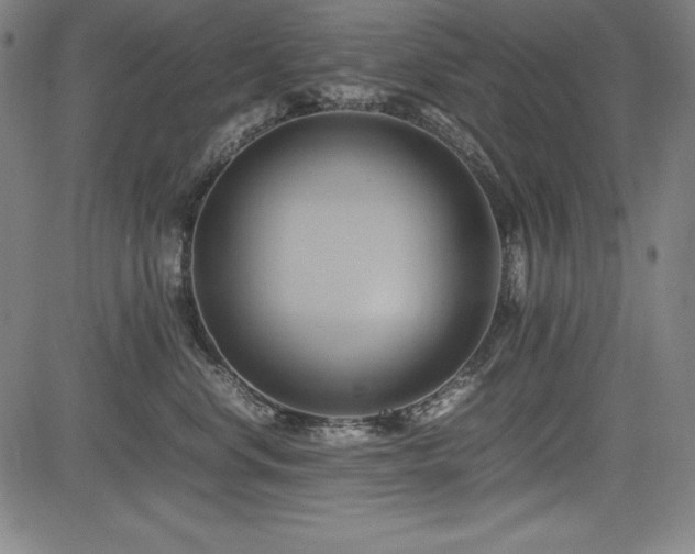 X0000083620668200702121142