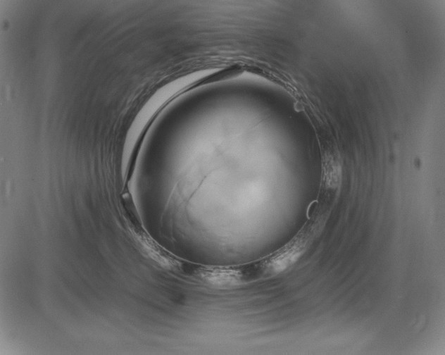 X0000083620670200702121142