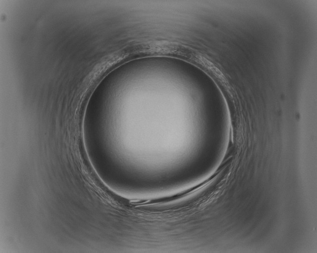 X0000083620673200702121141