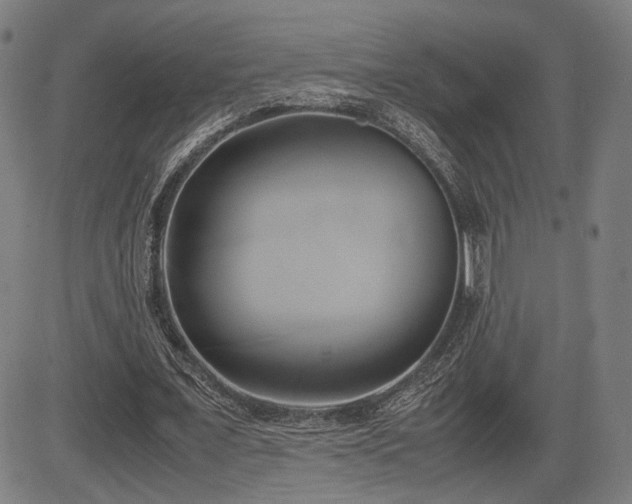 X0000083620675200702121141