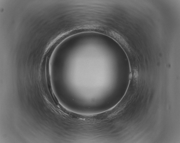 X0000083620676200702121141